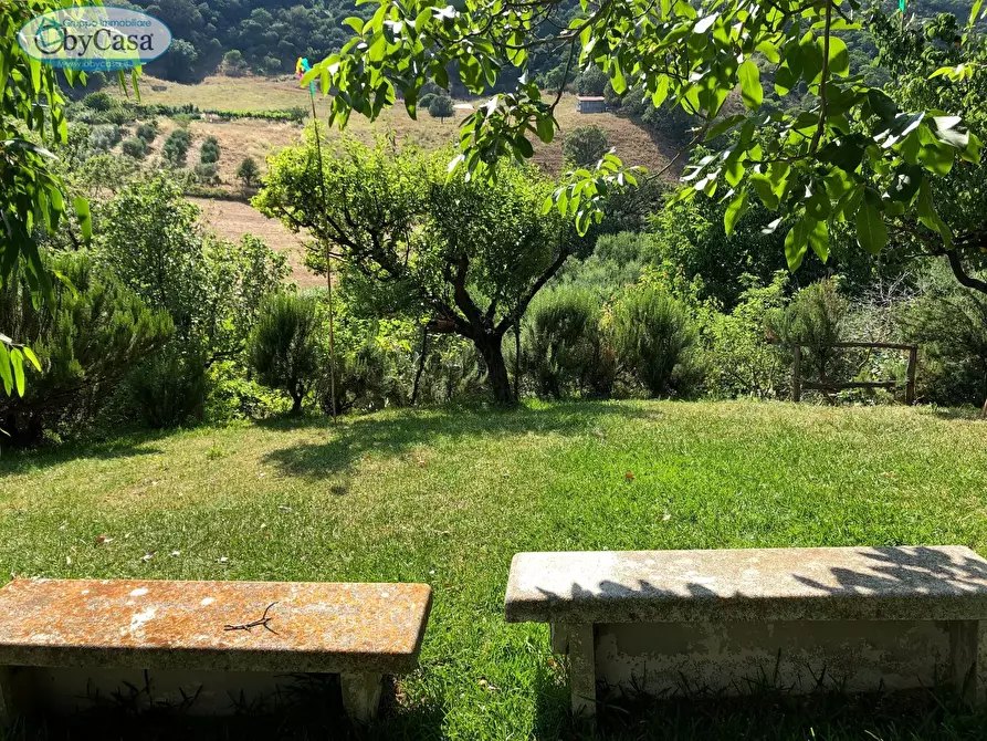 Immagine 7 di Terreno agricolo in vendita  in Via Ancelle Delle Visitazione a Santa Marinella