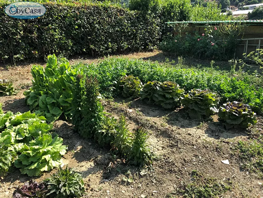 Immagine 15 di Terreno agricolo in vendita  in Via Ancelle Delle Visitazione a Santa Marinella