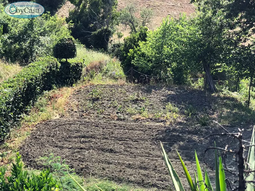 Immagine 23 di Terreno agricolo in vendita  in Via Ancelle Delle Visitazione a Santa Marinella