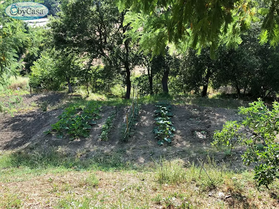Immagine 24 di Terreno agricolo in vendita  in Via Ancelle Delle Visitazione a Santa Marinella