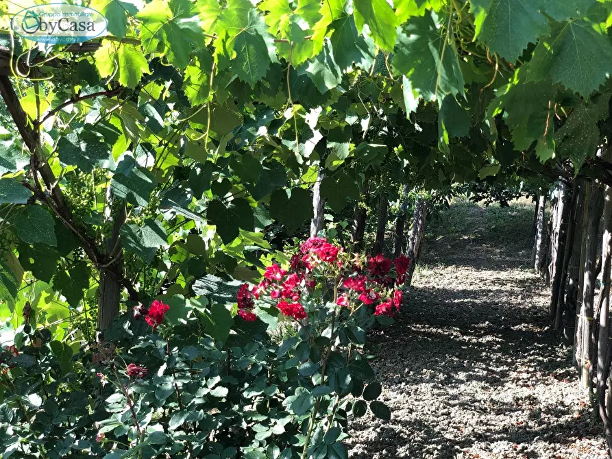 Immagine 6 di Terreno agricolo in vendita  in Via Ancelle Delle Visitazione a Santa Marinella