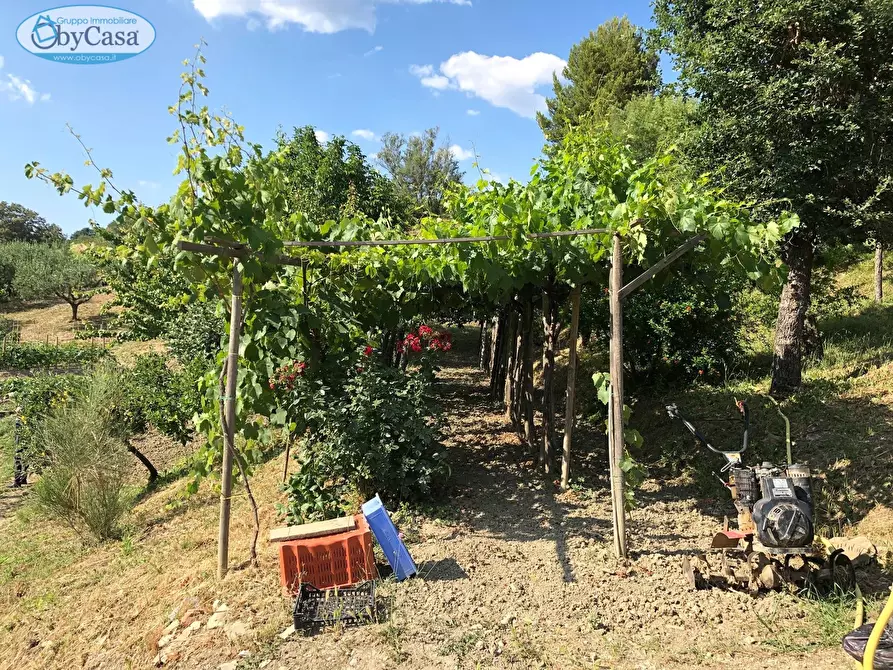 Immagine 14 di Terreno agricolo in vendita  in Via Ancelle Delle Visitazione a Santa Marinella