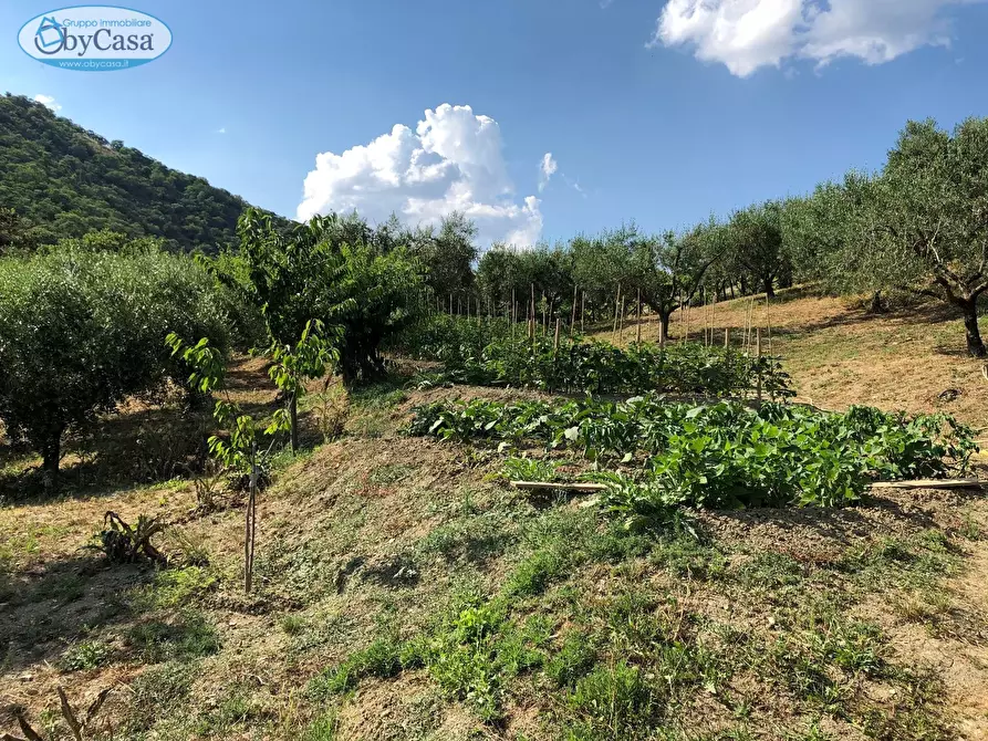 Immagine 25 di Terreno agricolo in vendita  in Via Ancelle Delle Visitazione a Santa Marinella