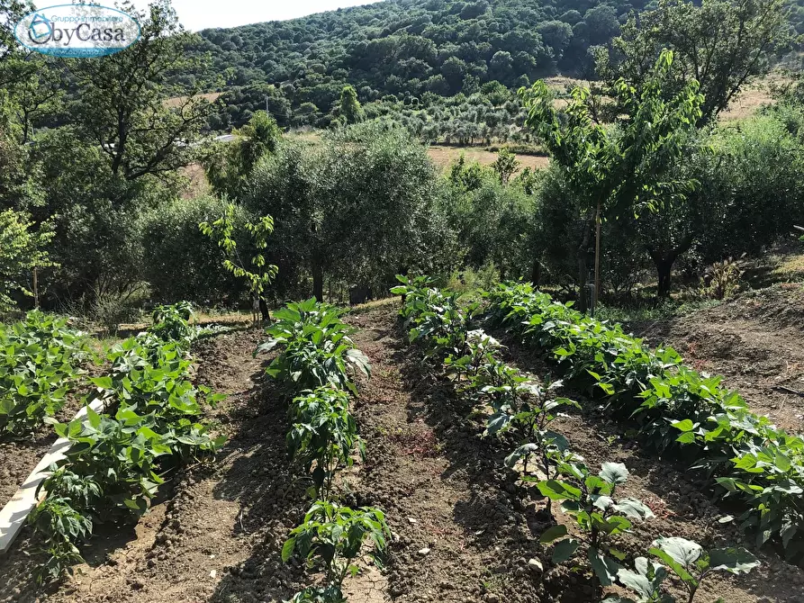 Immagine 26 di Terreno agricolo in vendita  in Via Ancelle Delle Visitazione a Santa Marinella