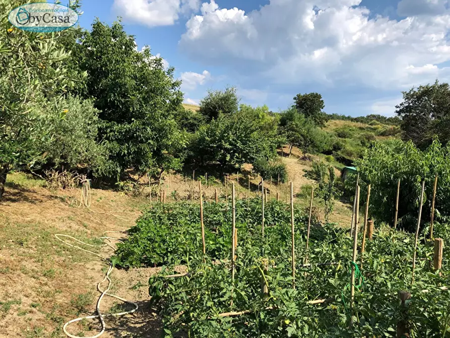 Immagine 27 di Terreno agricolo in vendita  in Via Ancelle Delle Visitazione a Santa Marinella