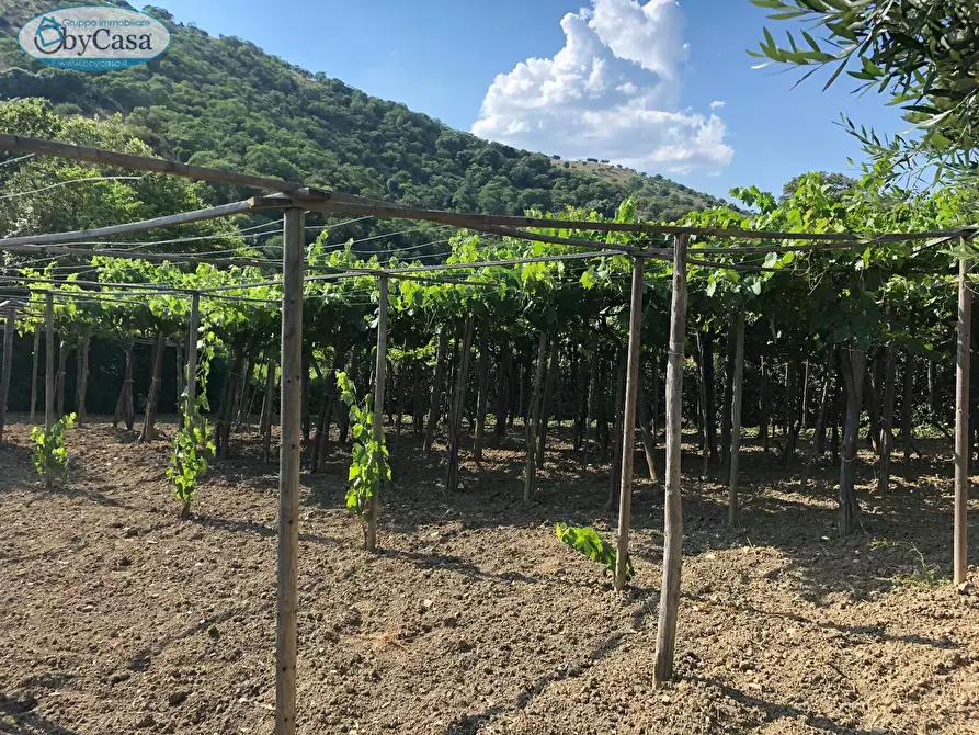 Immagine 28 di Terreno agricolo in vendita  in Via Ancelle Delle Visitazione a Santa Marinella