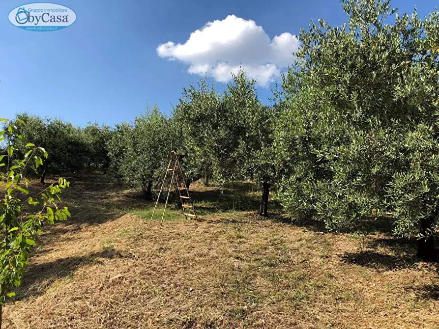 Immagine 2 di Terreno agricolo in vendita  in Via Ancelle Delle Visitazione a Santa Marinella