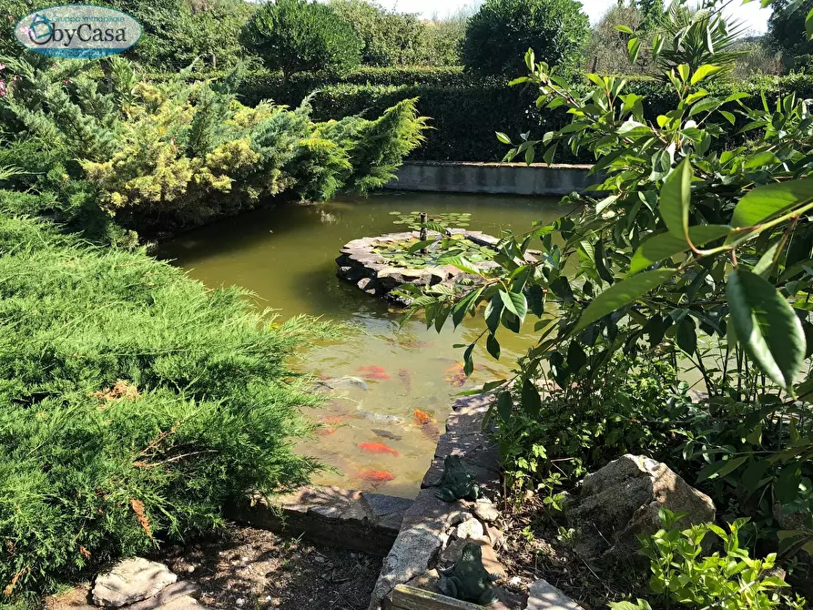 Immagine 21 di Terreno agricolo in vendita  in Via Ancelle Delle Visitazione a Santa Marinella