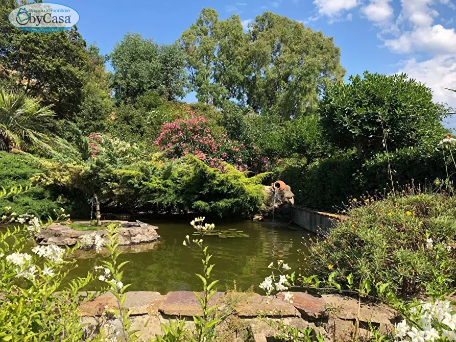 Immagine 8 di Terreno agricolo in vendita  in Via Ancelle Delle Visitazione a Santa Marinella