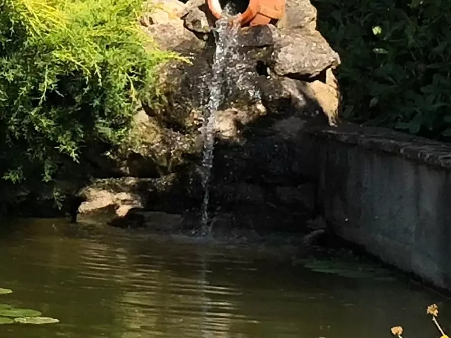 Immagine 22 di Terreno agricolo in vendita  in Via Ancelle Delle Visitazione a Santa Marinella