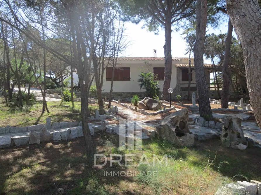 Immagine 20 di Villa in vendita  in via degli Oleandri a Villasimius