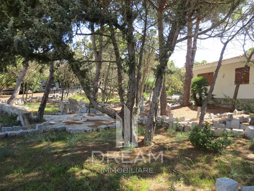 Immagine 22 di Villa in vendita  in via degli Oleandri a Villasimius