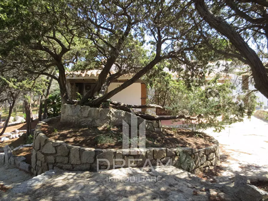 Immagine 19 di Villa in vendita  in via degli Oleandri a Villasimius