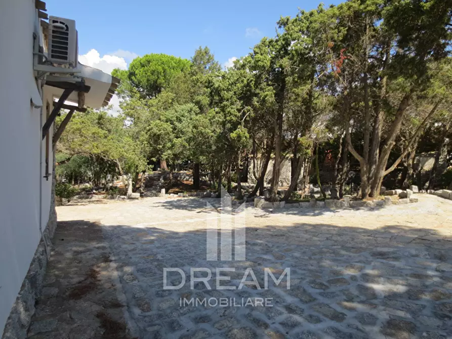 Immagine 24 di Villa in vendita  in via degli Oleandri a Villasimius