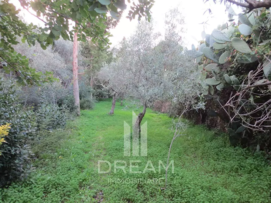 Immagine 28 di Casa indipendente in vendita  in via Matteotti a Guspini