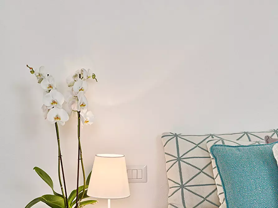 Immagine 14 di Villetta a schiera in vendita  in Vico IV Canetti a Calasetta