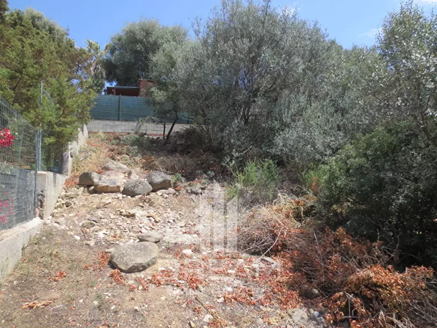 Immagine 4 di Terreno residenziale in vendita  in via degli Abeti a Quartu Sant'elena
