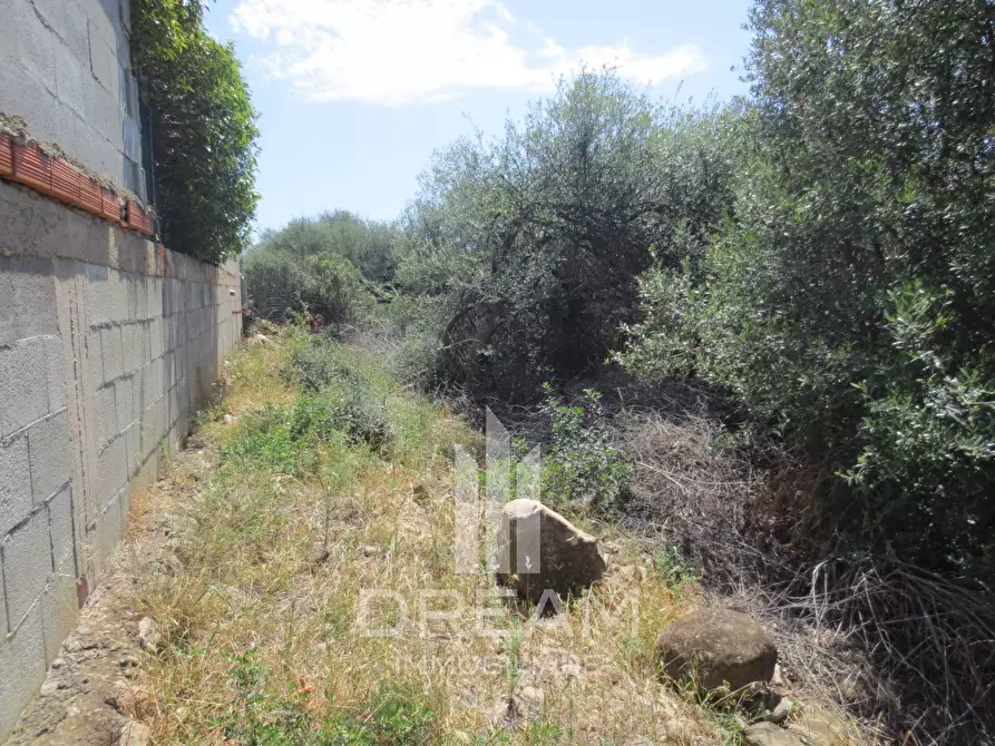 Immagine 7 di Terreno residenziale in vendita  in via degli Abeti a Quartu Sant'elena