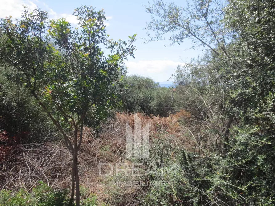 Immagine 5 di Terreno residenziale in vendita  in via degli Abeti a Quartu Sant'elena