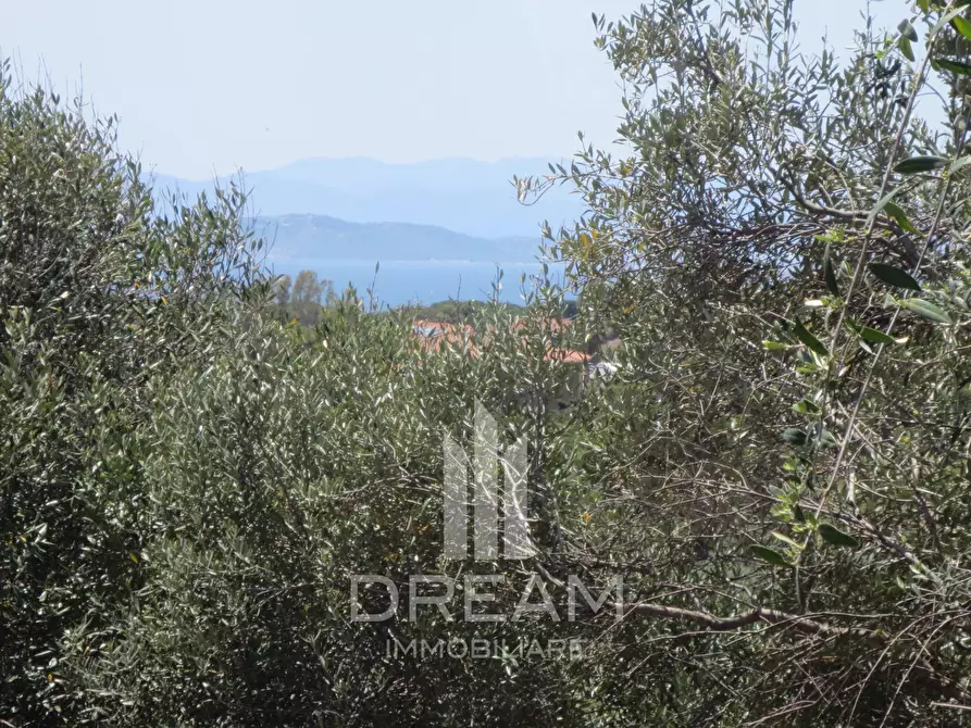 Immagine 3 di Terreno residenziale in vendita  in via degli Abeti a Quartu Sant'elena