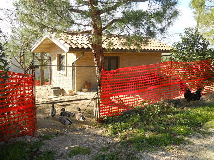Immagine 29 di Villa in vendita  in strada provinciale 54 a Monteprandone