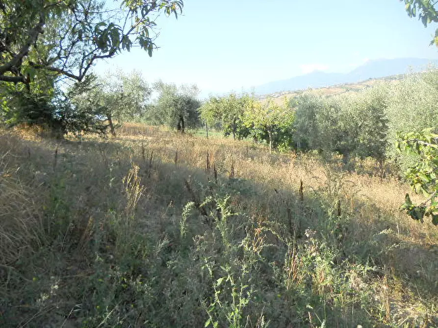 Immagine 13 di Rustico / casale in vendita  in Contrada Rio Moro a Colonnella