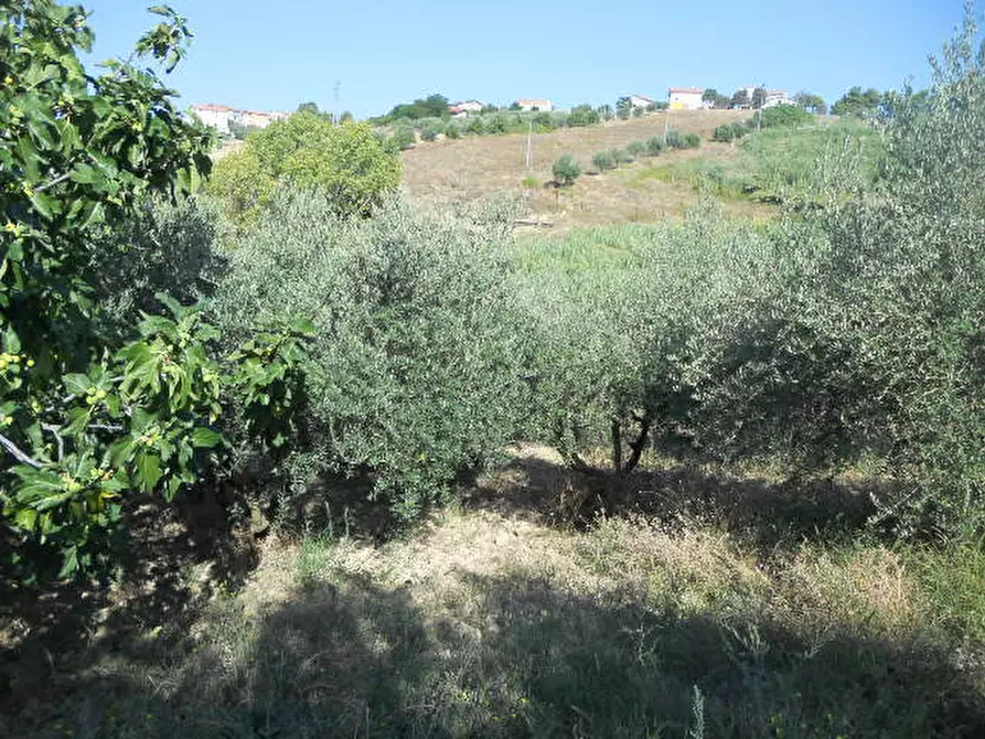 Immagine 14 di Rustico / casale in vendita  in Contrada Rio Moro a Colonnella