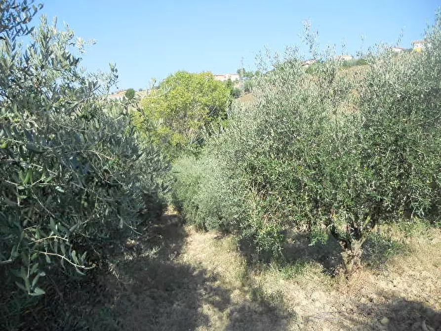Immagine 15 di Rustico / casale in vendita  in Contrada Rio Moro a Colonnella