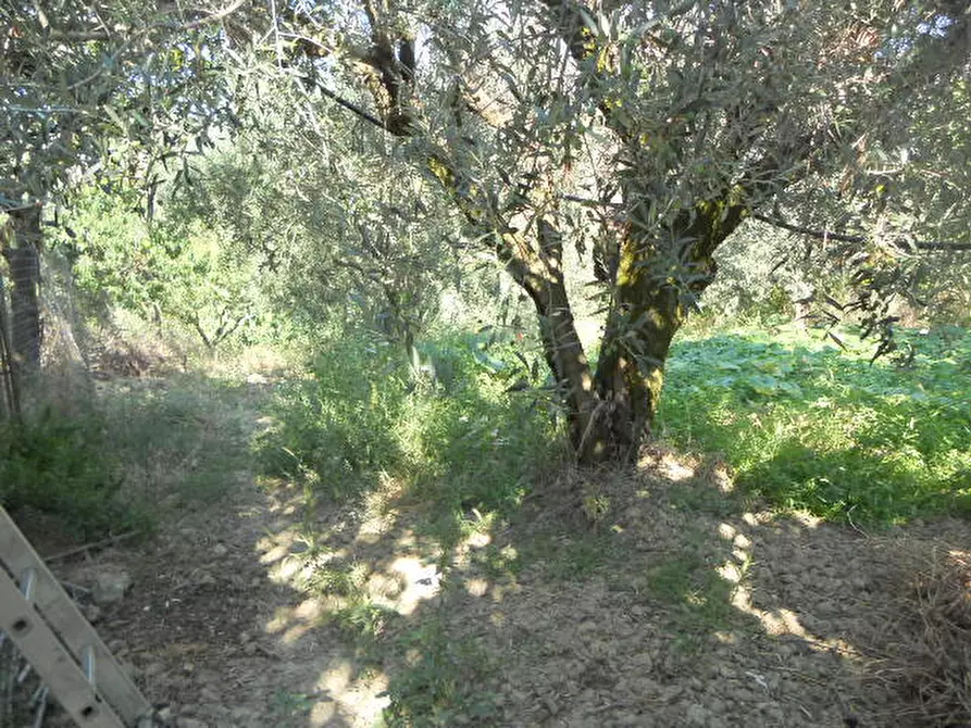 Immagine 16 di Rustico / casale in vendita  in Contrada Rio Moro a Colonnella