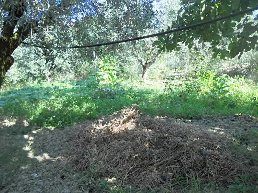 Immagine 10 di Rustico / casale in vendita  in Contrada Rio Moro a Colonnella