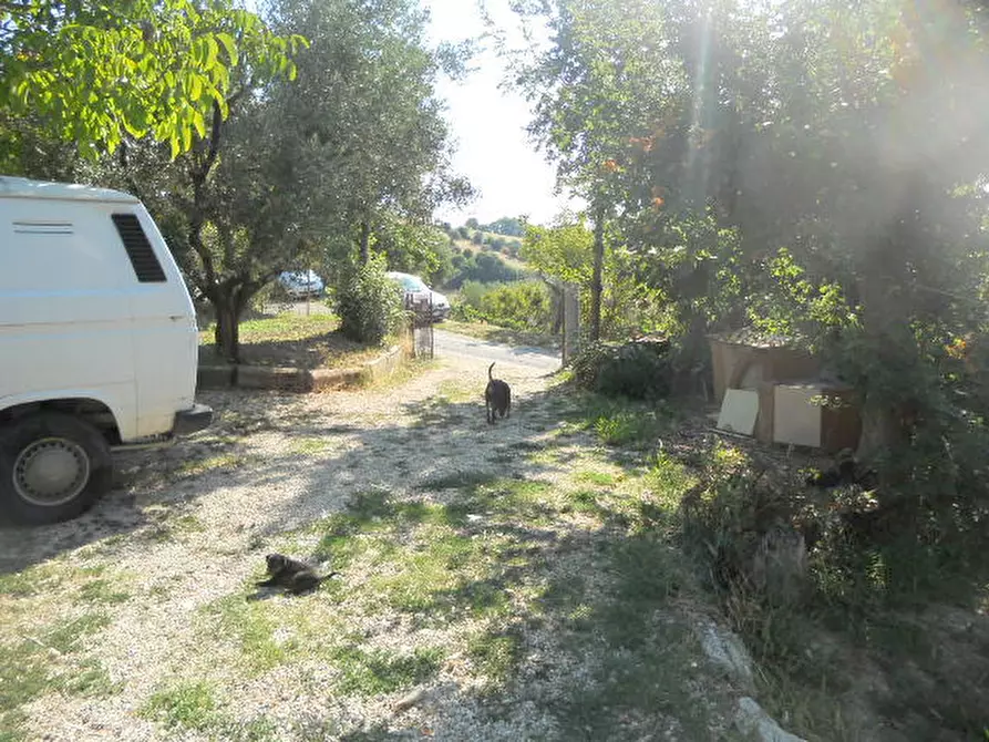 Immagine 17 di Rustico / casale in vendita  in Contrada Rio Moro a Colonnella