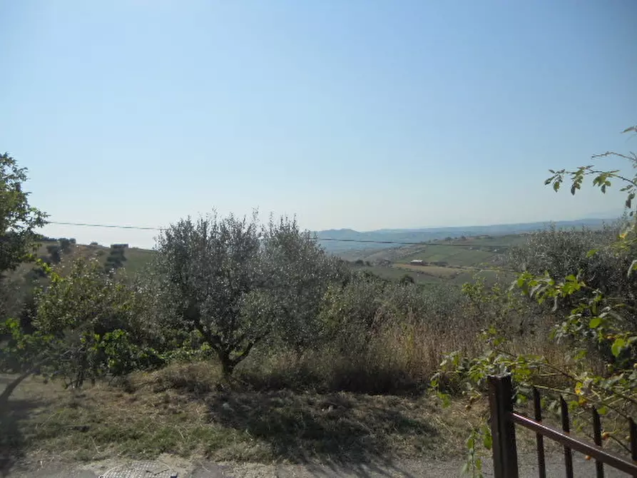 Immagine 18 di Rustico / casale in vendita  in Contrada Rio Moro a Colonnella
