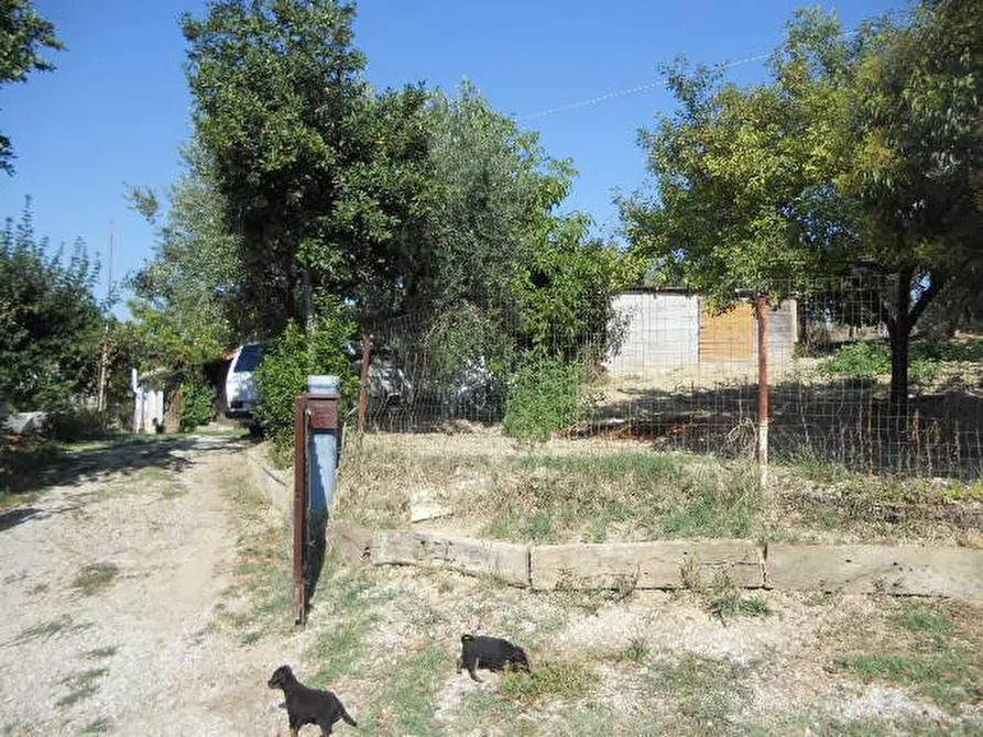 Immagine 19 di Rustico / casale in vendita  in Contrada Rio Moro a Colonnella