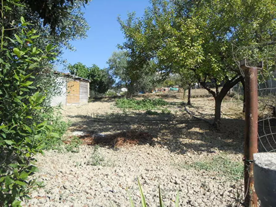 Immagine 9 di Rustico / casale in vendita  in Contrada Rio Moro a Colonnella