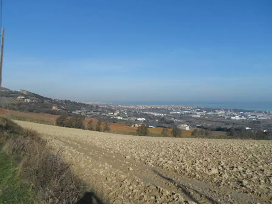 Immagine 7 di Rustico / casale in vendita  in Contrada Civita a Martinsicuro