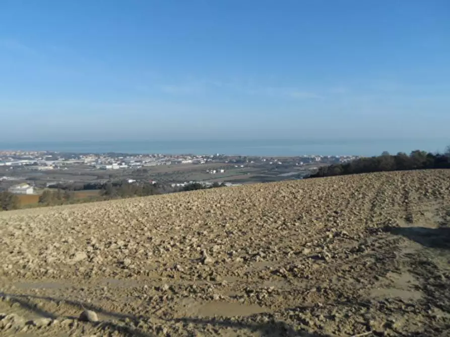 Immagine 9 di Rustico / casale in vendita  in Contrada Civita a Martinsicuro