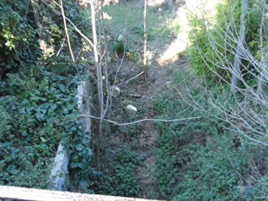 Immagine 18 di Rustico / casale in vendita  in Contrada Civita a Martinsicuro