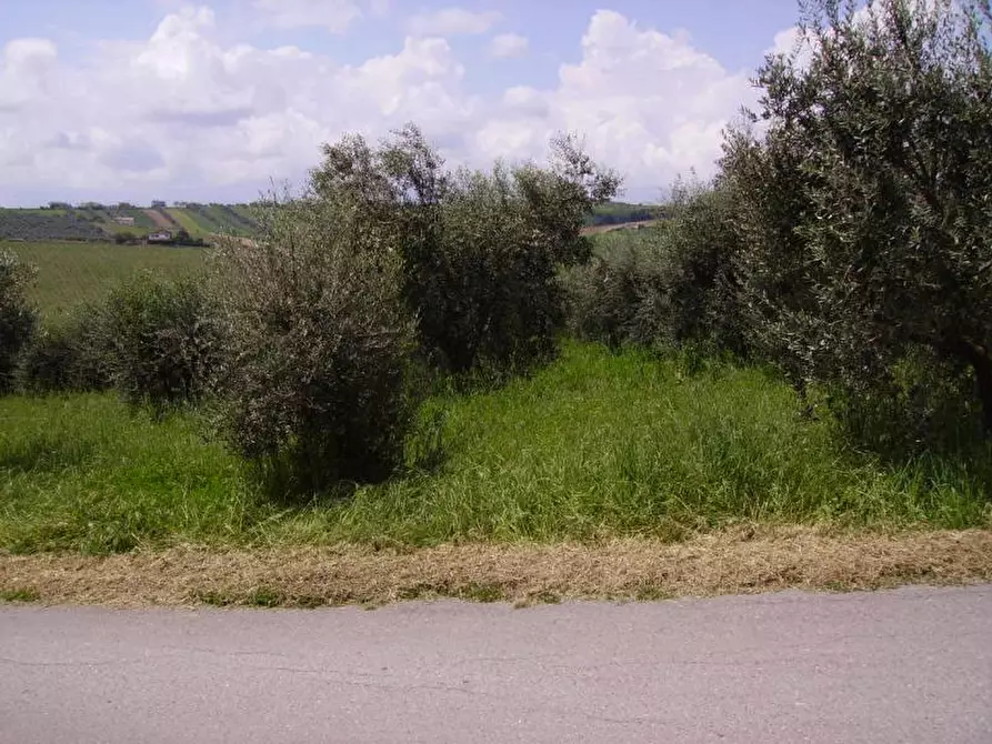 Immagine 3 di Rustico / casale in vendita  in Contrada Rio Moro a Colonnella