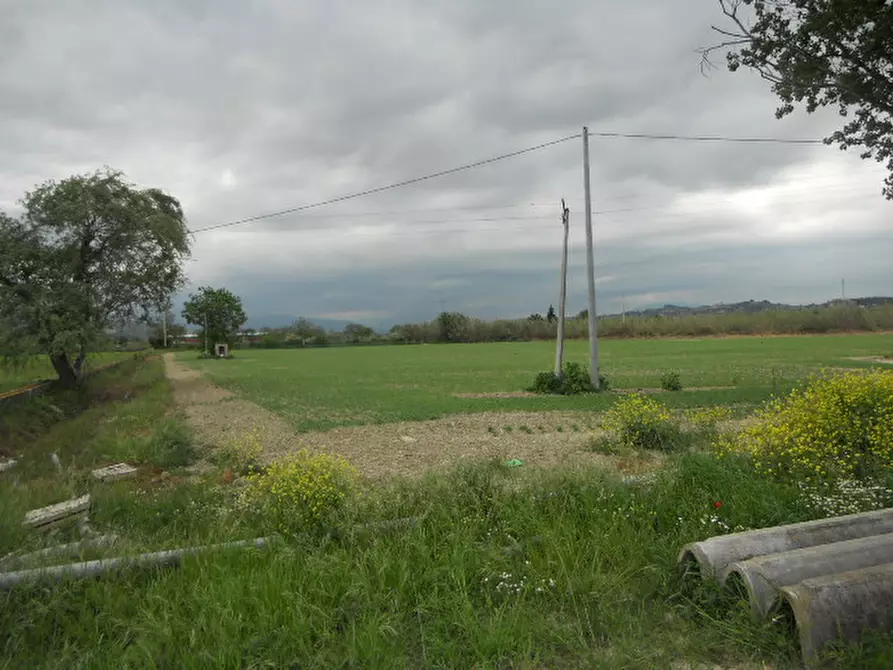 Immagine 6 di Rustico / casale in vendita  in Strada Provinciale 1 a Controguerra