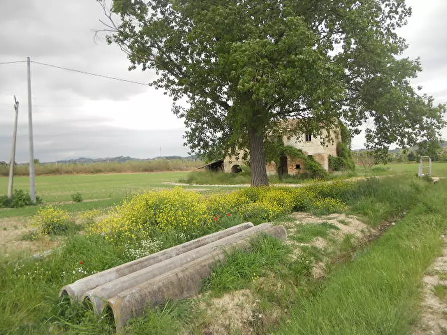 Immagine 8 di Rustico / casale in vendita  in Strada Provinciale 1 a Controguerra