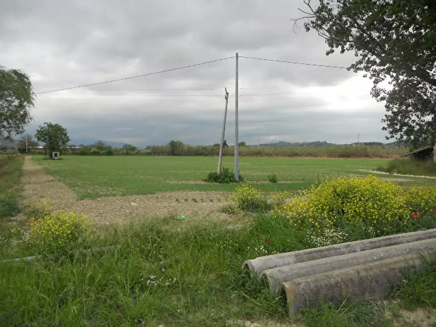 Immagine 5 di Rustico / casale in vendita  in Strada Provinciale 1 a Controguerra