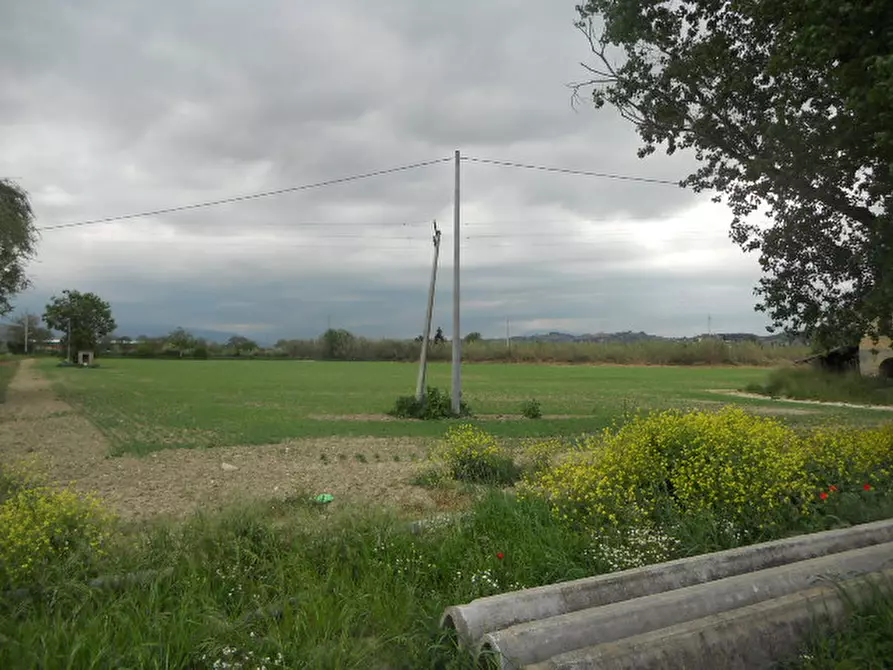 Immagine 7 di Rustico / casale in vendita  in Strada Provinciale 1 a Controguerra