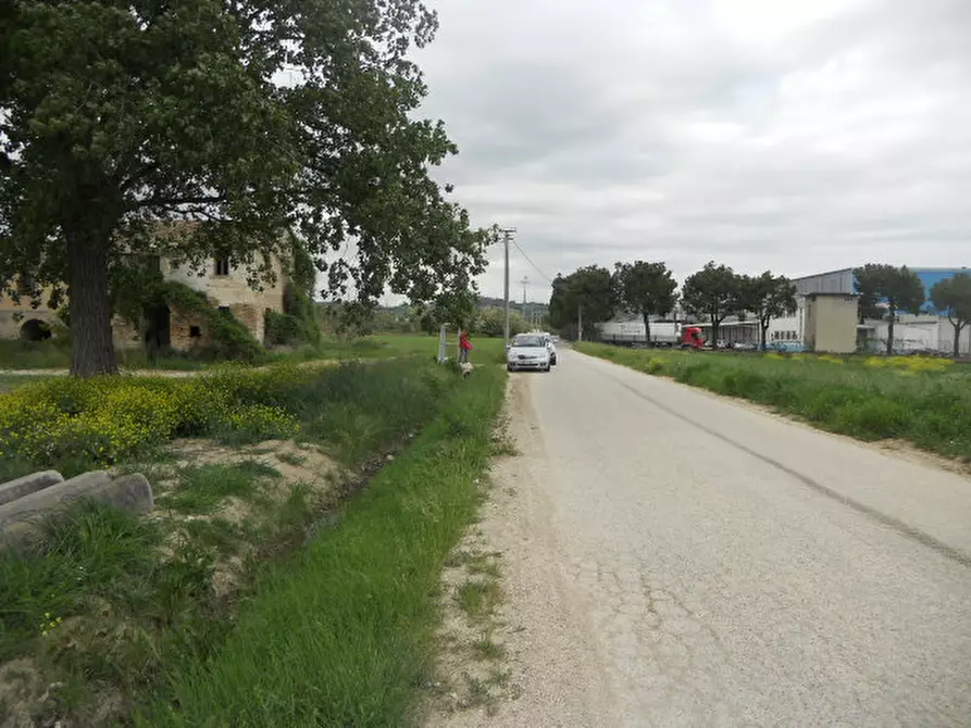 Immagine 9 di Rustico / casale in vendita  in Strada Provinciale 1 a Controguerra