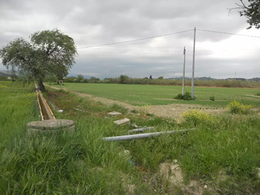 Immagine 10 di Rustico / casale in vendita  in Strada Provinciale 1 a Controguerra