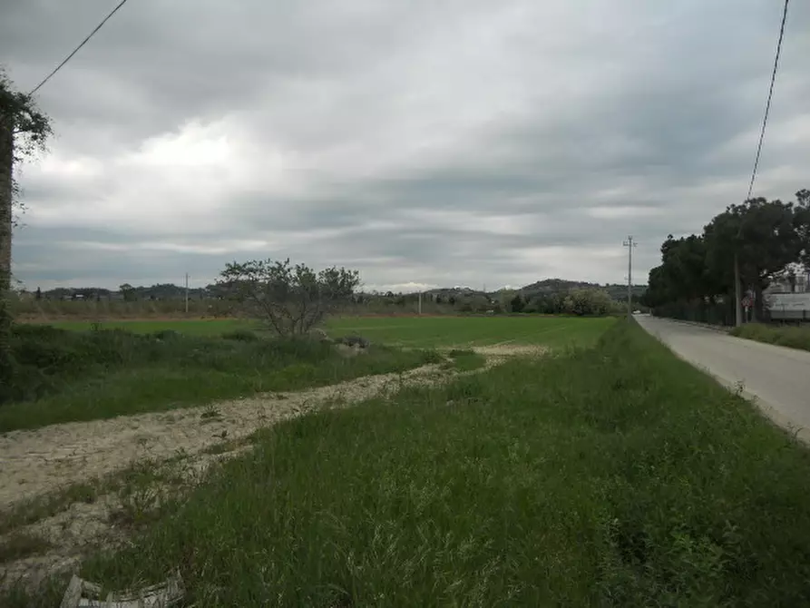 Immagine 3 di Rustico / casale in vendita  in Strada Provinciale 1 a Controguerra