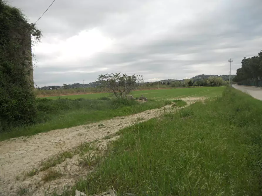 Immagine 11 di Rustico / casale in vendita  in Strada Provinciale 1 a Controguerra