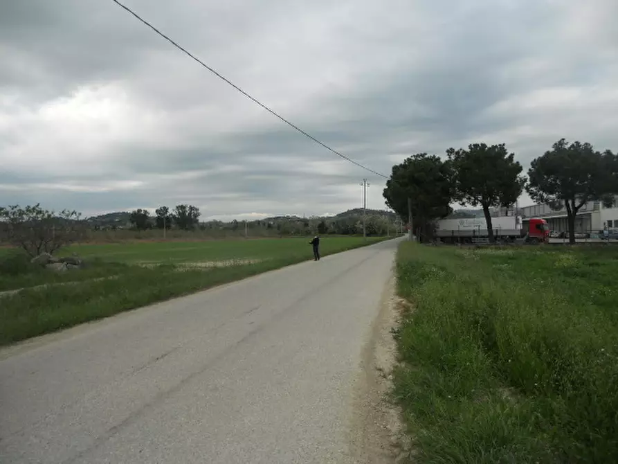 Immagine 12 di Rustico / casale in vendita  in Strada Provinciale 1 a Controguerra