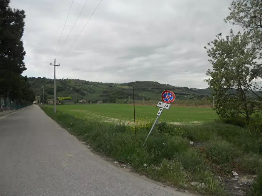Immagine 13 di Rustico / casale in vendita  in Strada Provinciale 1 a Controguerra