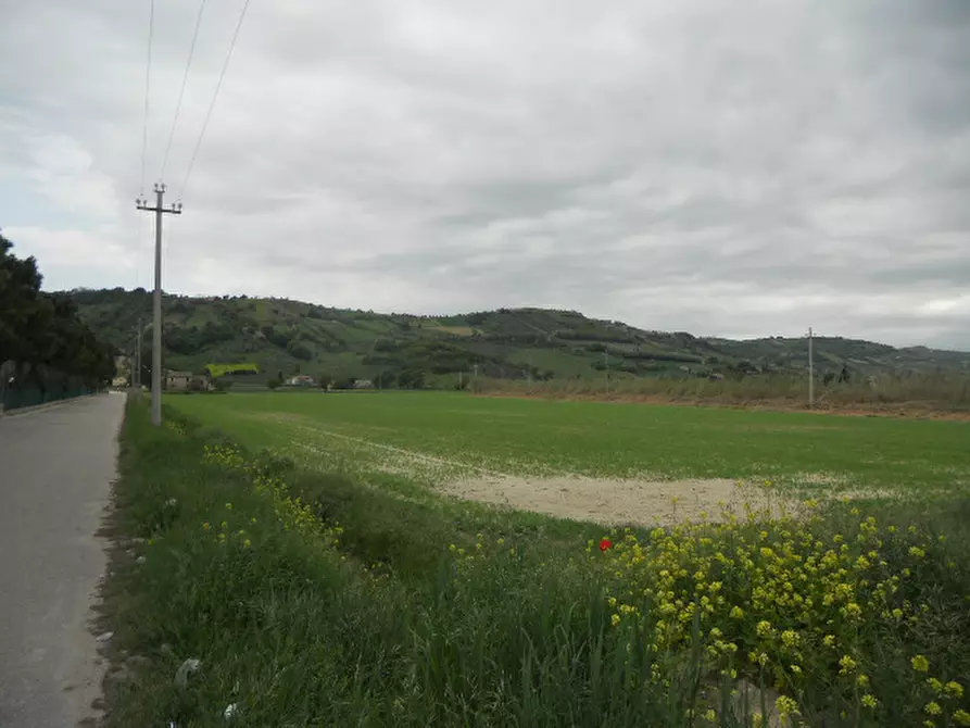 Immagine 14 di Rustico / casale in vendita  in Strada Provinciale 1 a Controguerra