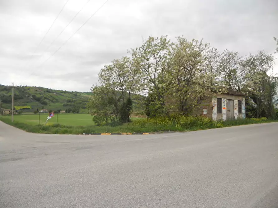Immagine 15 di Rustico / casale in vendita  in Strada Provinciale 1 a Controguerra